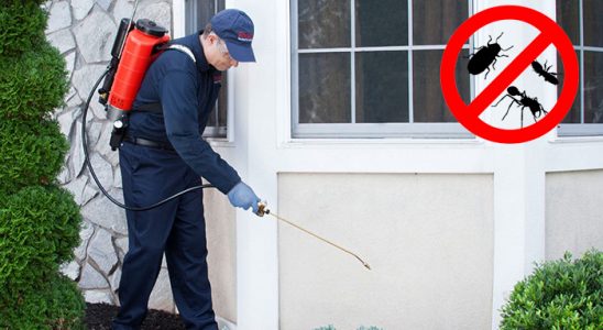 Altınekin Böcek İlaçlama böcek ilaçlama ve haşere kontrolü — ilaclama-tr.com